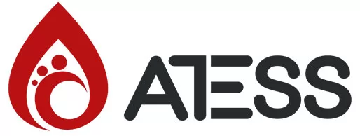 Atess Logo
